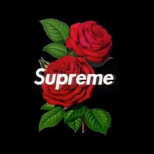 Meet your Posher, Roberto